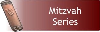 mitzvah series.jpg